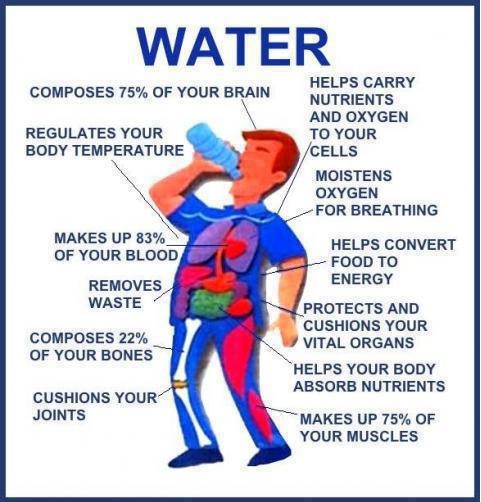 Can You Lose Weight By Drinking Water For A Week